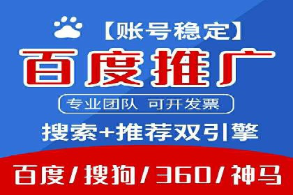 某电商平台的SEM广告投放策略及效果评估